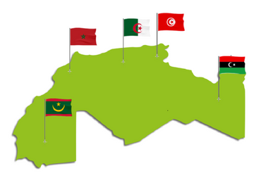 Voyage linguistique au Maghreb : Découverte des dialectes régionaux